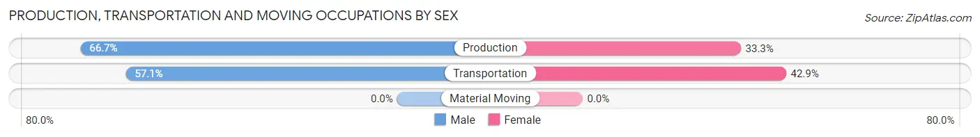 Production, Transportation and Moving Occupations by Sex in Zip Code 58064