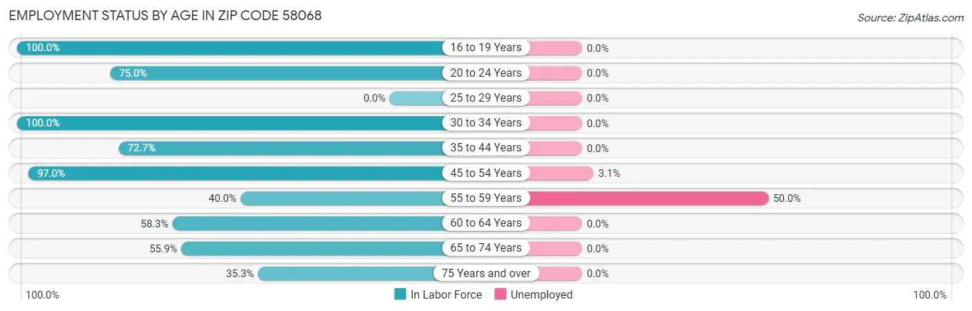 Employment Status by Age in Zip Code 58068