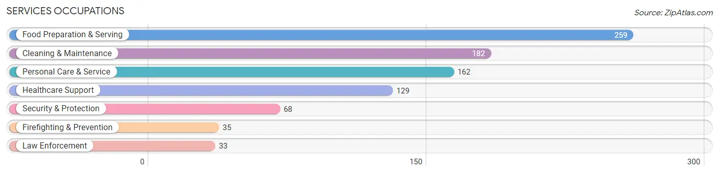 Services Occupations in Zip Code 58072