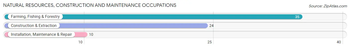 Natural Resources, Construction and Maintenance Occupations in Zip Code 58076