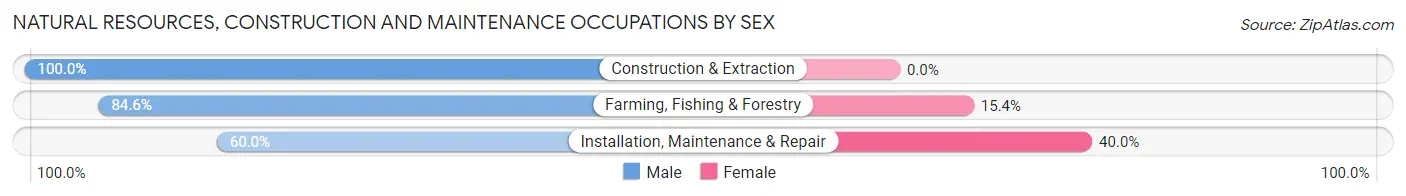 Natural Resources, Construction and Maintenance Occupations by Sex in Zip Code 58077