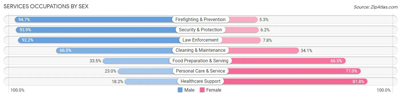 Services Occupations by Sex in Zip Code 58102