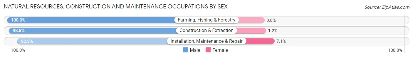 Natural Resources, Construction and Maintenance Occupations by Sex in Zip Code 58103