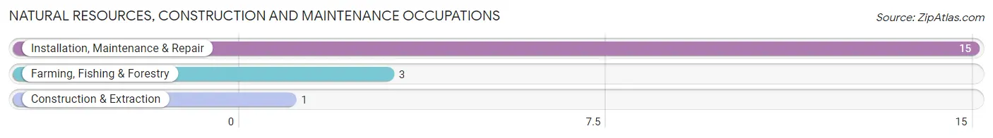 Natural Resources, Construction and Maintenance Occupations in Zip Code 58212