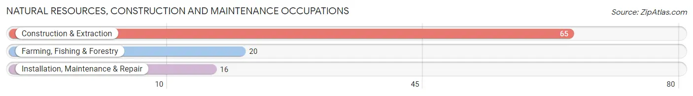 Natural Resources, Construction and Maintenance Occupations in Zip Code 58220