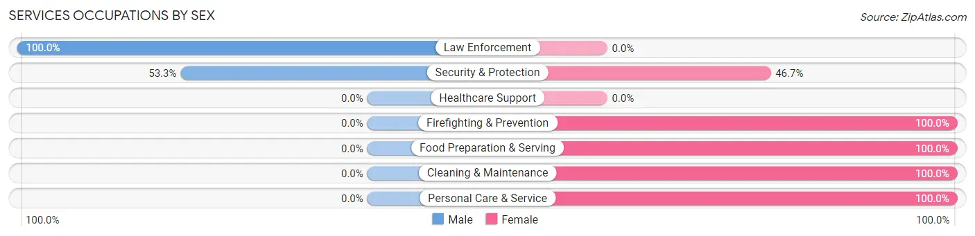 Services Occupations by Sex in Zip Code 58222