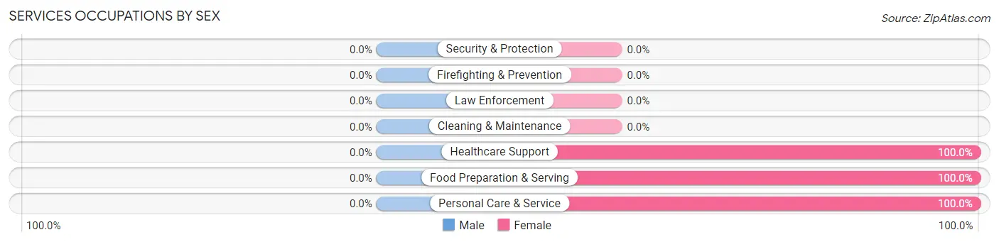 Services Occupations by Sex in Zip Code 58241