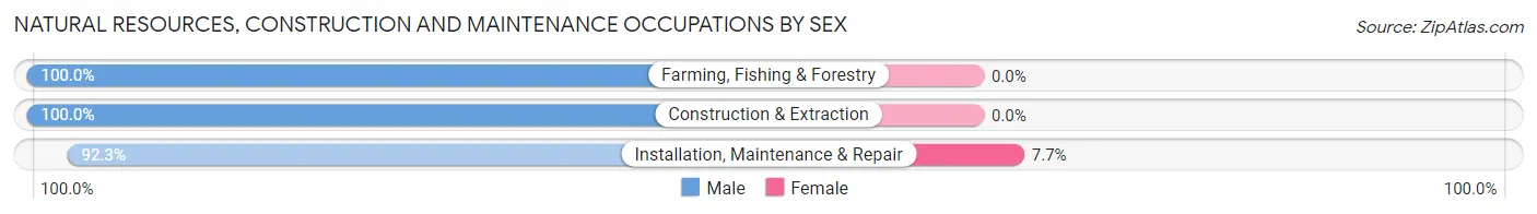 Natural Resources, Construction and Maintenance Occupations by Sex in Zip Code 58256