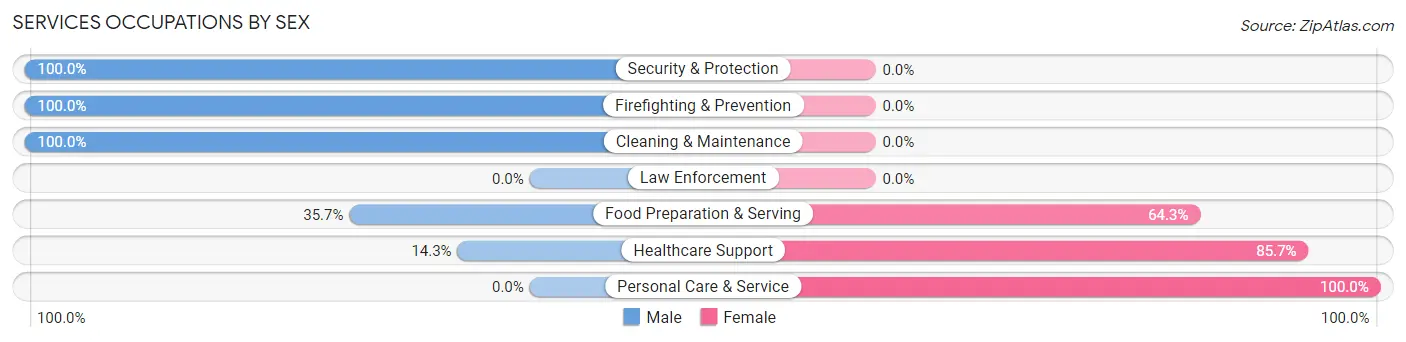 Services Occupations by Sex in Zip Code 58261