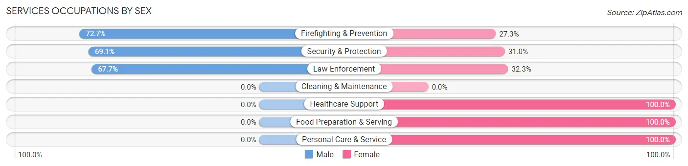 Services Occupations by Sex in Zip Code 58271