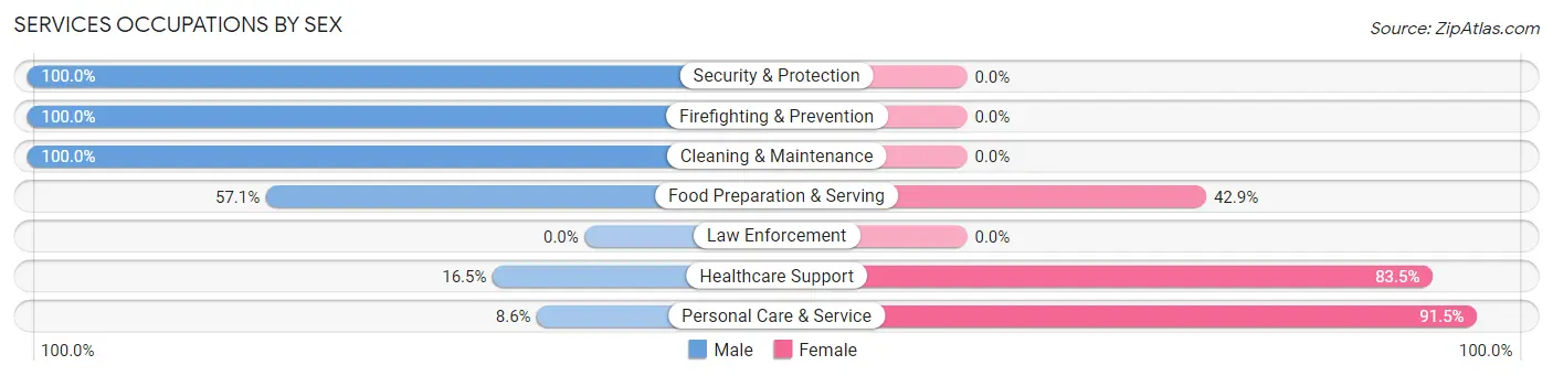Services Occupations by Sex in Zip Code 58329