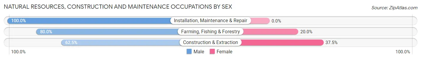 Natural Resources, Construction and Maintenance Occupations by Sex in Zip Code 58330