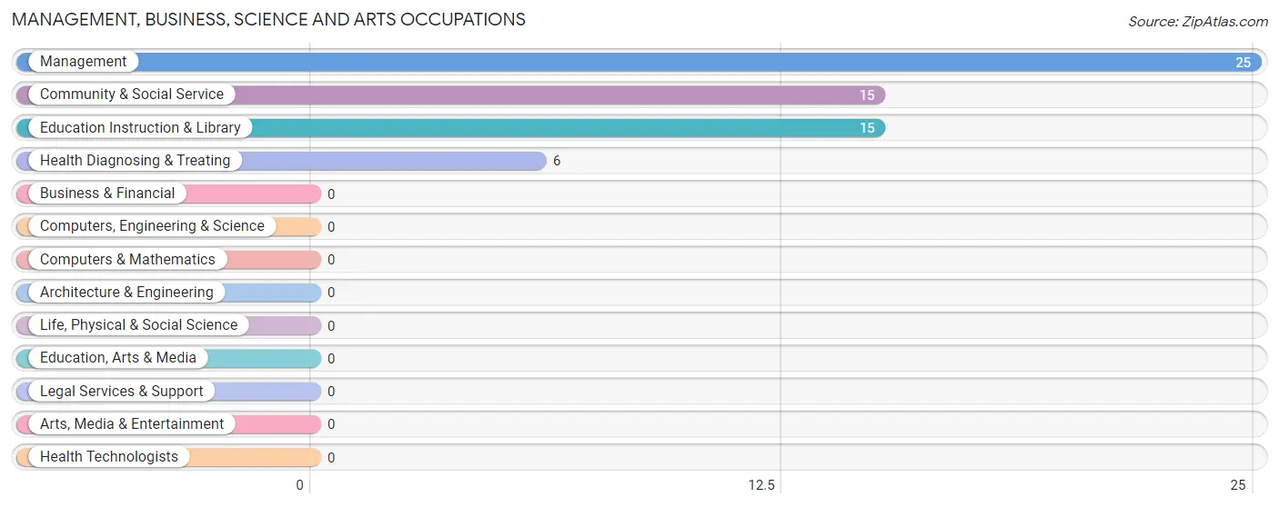 Management, Business, Science and Arts Occupations in Zip Code 58331