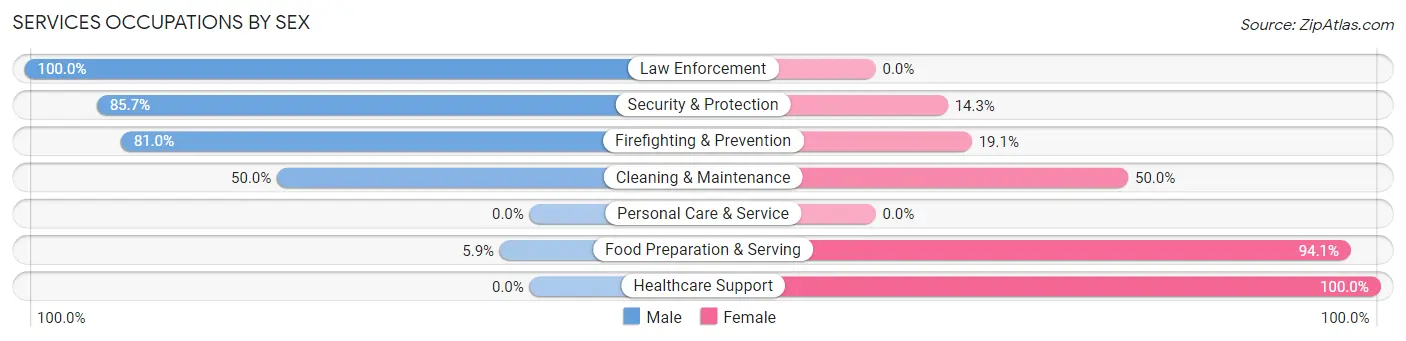 Services Occupations by Sex in Zip Code 58335