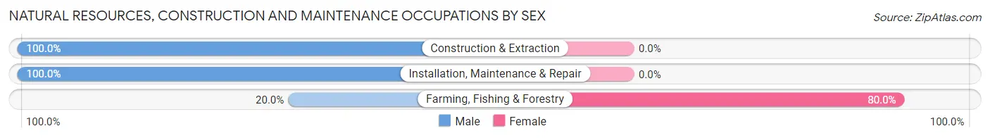 Natural Resources, Construction and Maintenance Occupations by Sex in Zip Code 58344