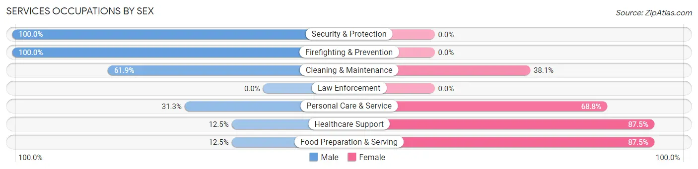 Services Occupations by Sex in Zip Code 58344
