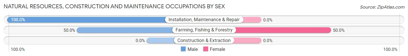 Natural Resources, Construction and Maintenance Occupations by Sex in Zip Code 58345