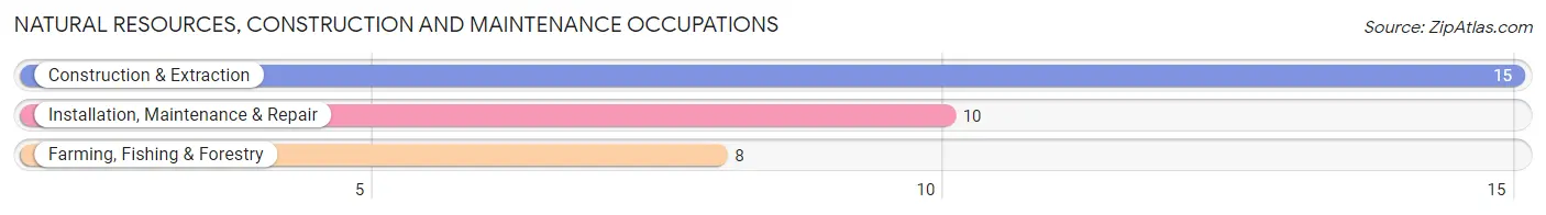 Natural Resources, Construction and Maintenance Occupations in Zip Code 58348