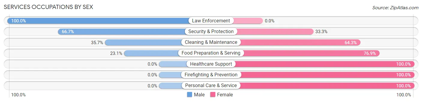 Services Occupations by Sex in Zip Code 58348