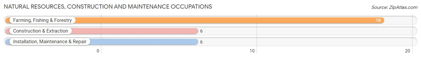 Natural Resources, Construction and Maintenance Occupations in Zip Code 58352