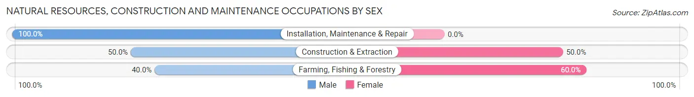 Natural Resources, Construction and Maintenance Occupations by Sex in Zip Code 58377