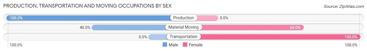 Production, Transportation and Moving Occupations by Sex in Zip Code 58379