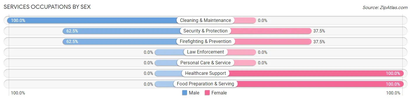 Services Occupations by Sex in Zip Code 58381
