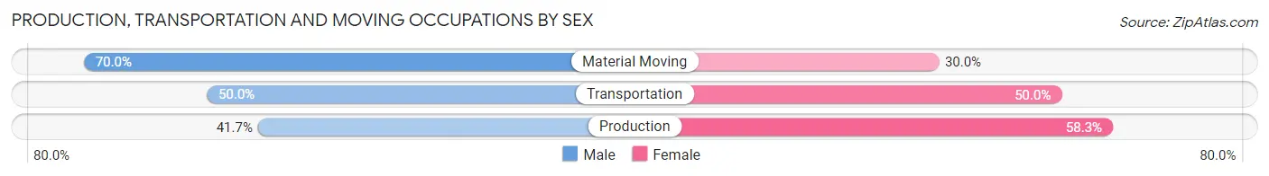 Production, Transportation and Moving Occupations by Sex in Zip Code 58413