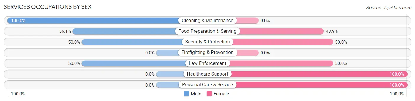 Services Occupations by Sex in Zip Code 58420