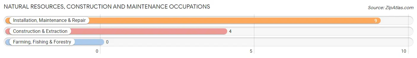 Natural Resources, Construction and Maintenance Occupations in Zip Code 58424