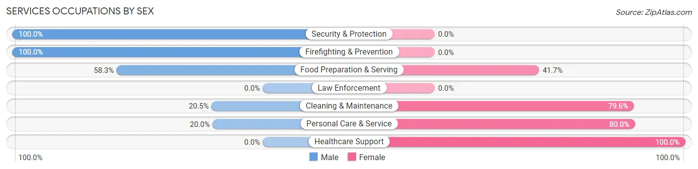 Services Occupations by Sex in Zip Code 58425