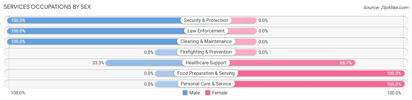 Services Occupations by Sex in Zip Code 58438