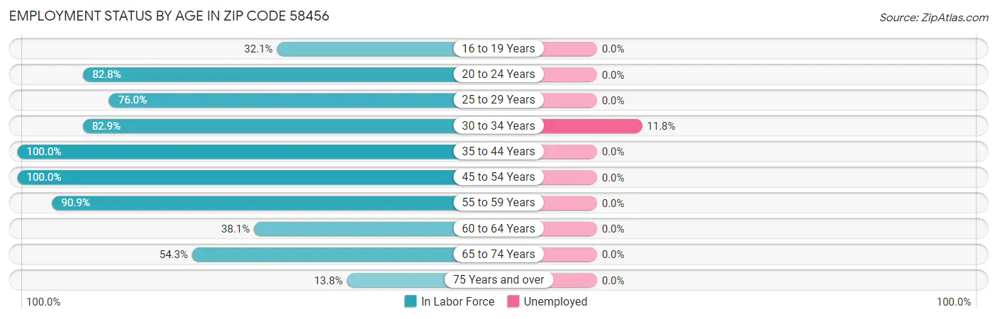 Employment Status by Age in Zip Code 58456
