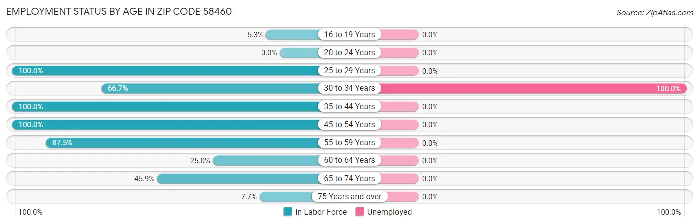 Employment Status by Age in Zip Code 58460