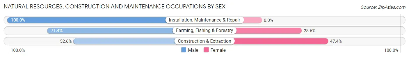Natural Resources, Construction and Maintenance Occupations by Sex in Zip Code 58461