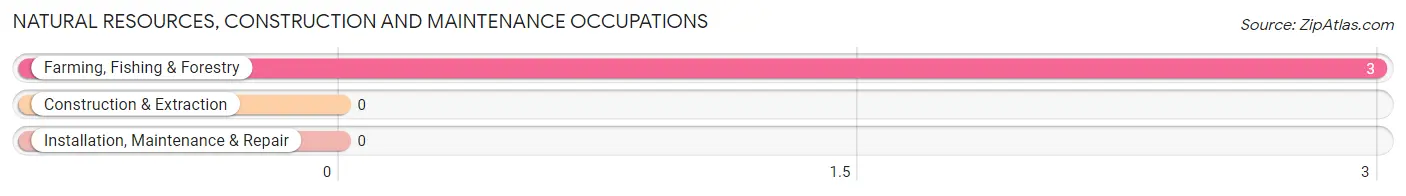 Natural Resources, Construction and Maintenance Occupations in Zip Code 58477