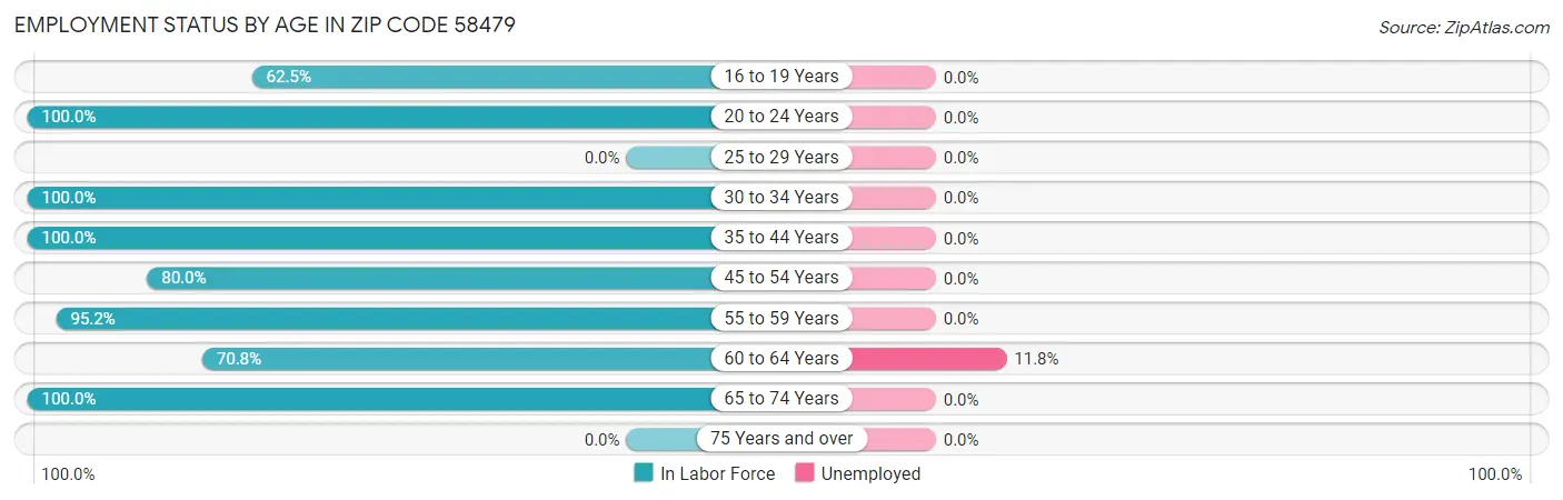Employment Status by Age in Zip Code 58479