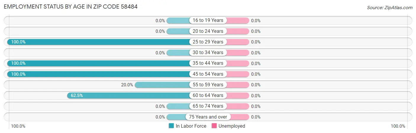Employment Status by Age in Zip Code 58484