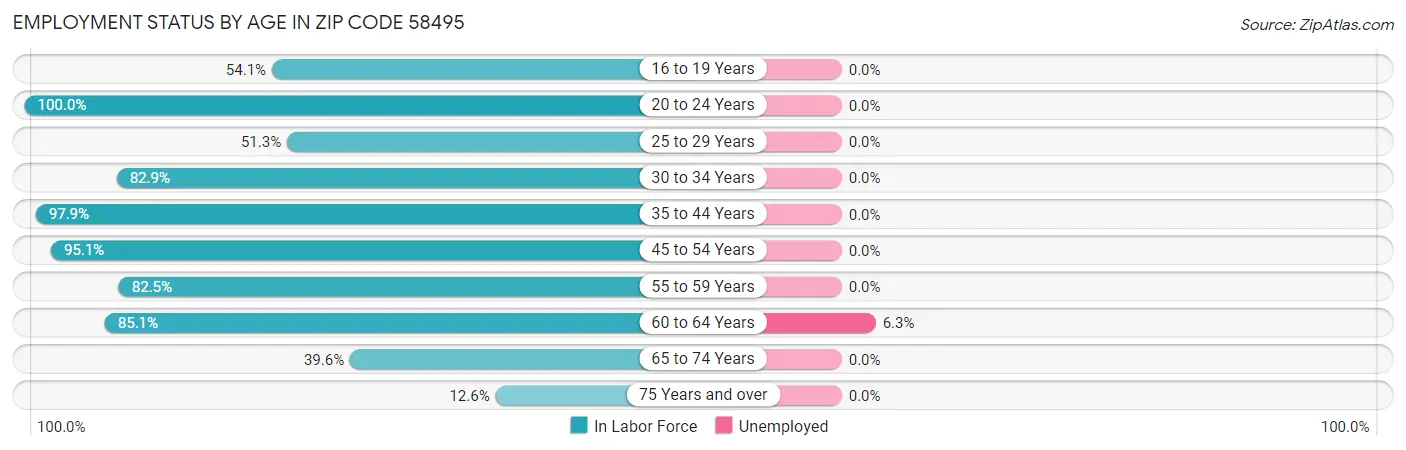 Employment Status by Age in Zip Code 58495