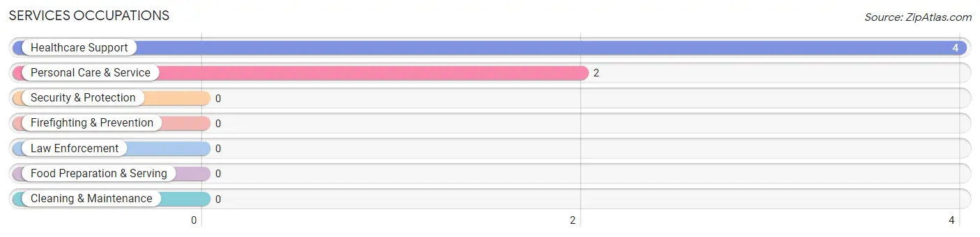 Services Occupations in Zip Code 58496