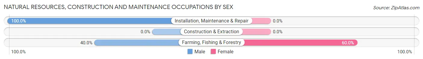 Natural Resources, Construction and Maintenance Occupations by Sex in Zip Code 58497