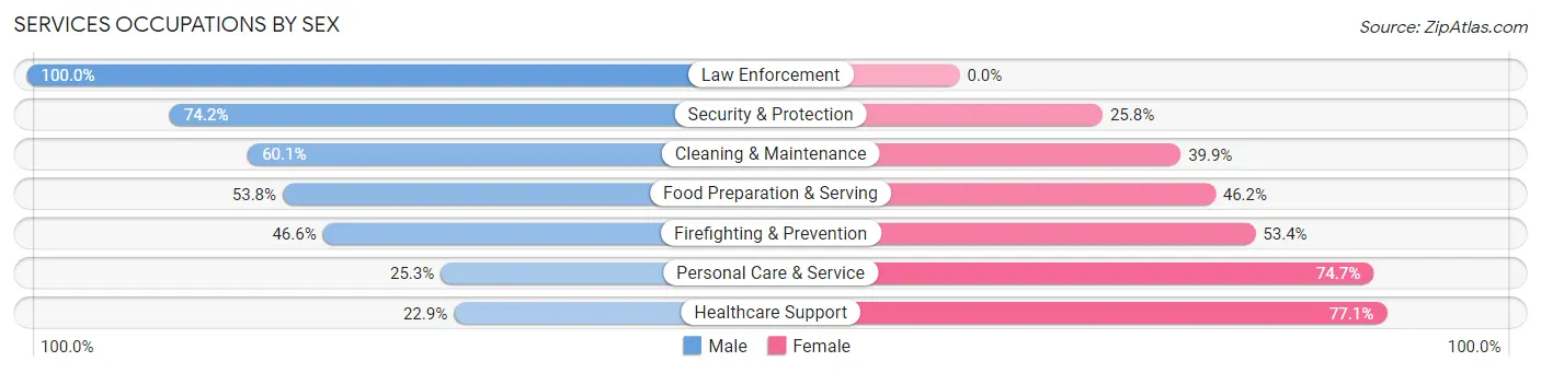 Services Occupations by Sex in Zip Code 58501