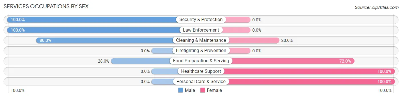 Services Occupations by Sex in Zip Code 58529
