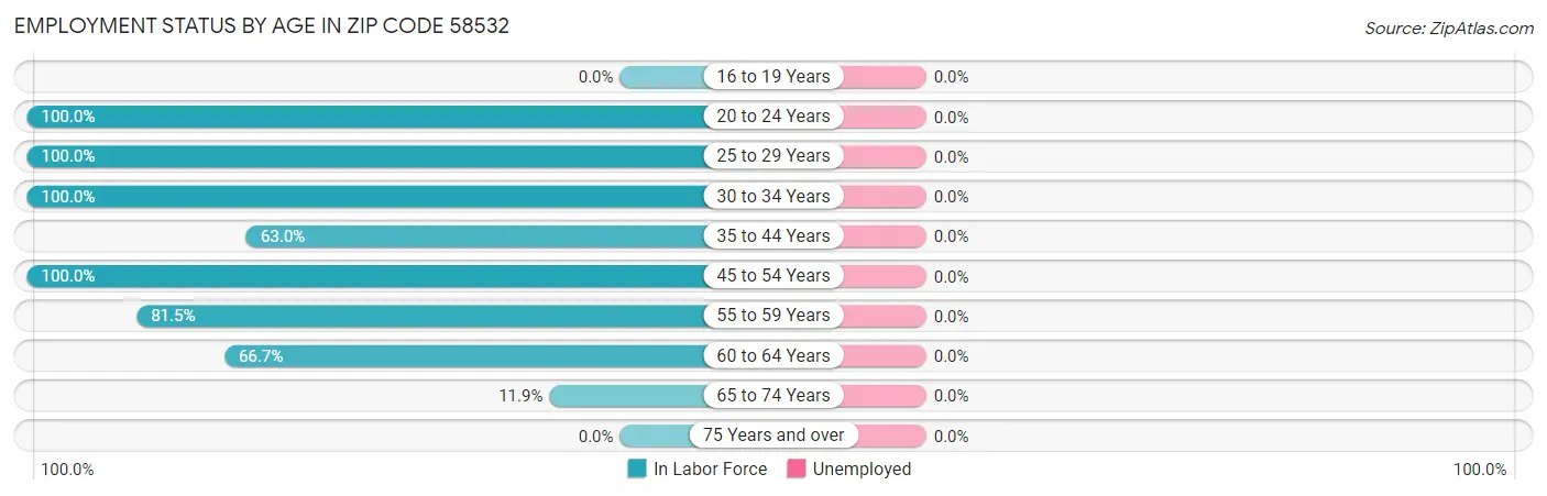 Employment Status by Age in Zip Code 58532