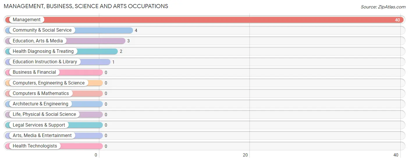 Management, Business, Science and Arts Occupations in Zip Code 58542