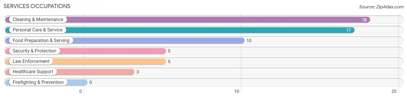 Services Occupations in Zip Code 58552