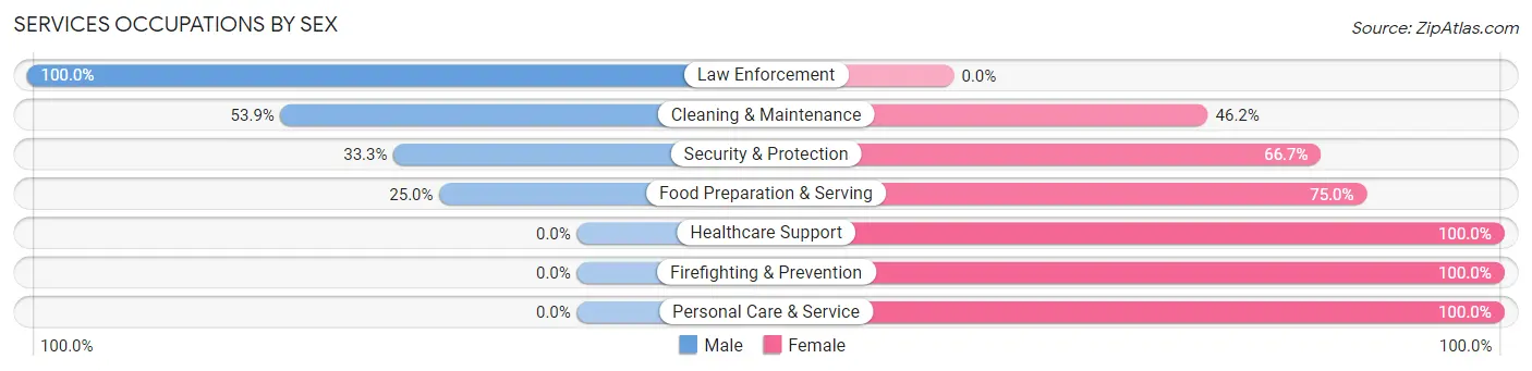Services Occupations by Sex in Zip Code 58558