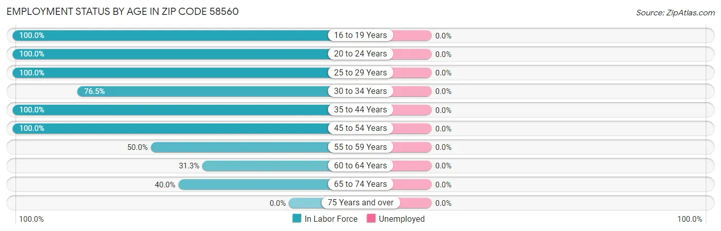 Employment Status by Age in Zip Code 58560