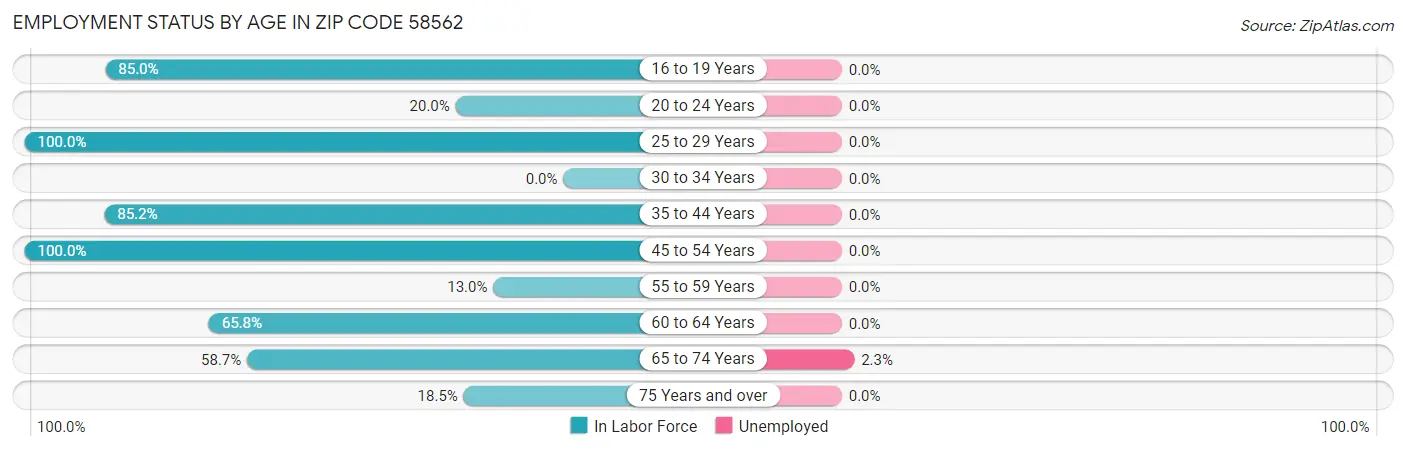 Employment Status by Age in Zip Code 58562