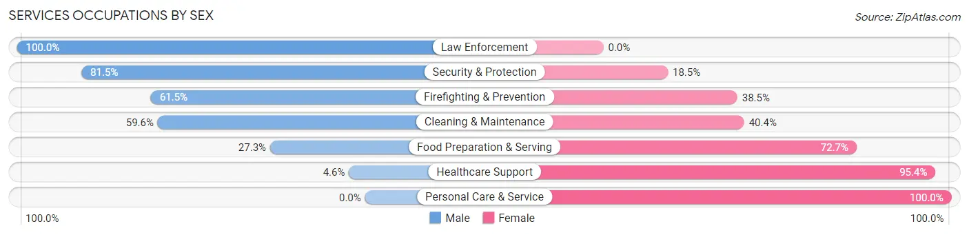 Services Occupations by Sex in Zip Code 58563